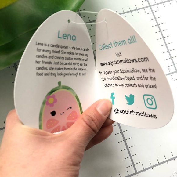 NWT Squishmallow Tang & Guava 11" Bundle - Picture 4 of 4